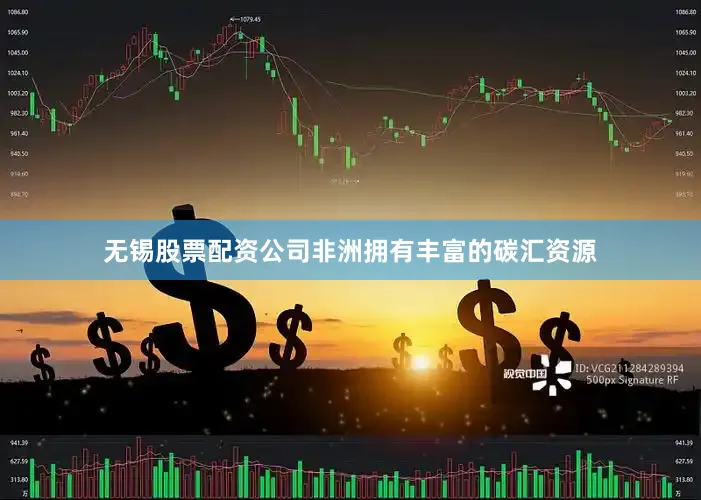 无锡股票配资公司非洲拥有丰富的碳汇资源